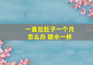 一直拉肚子一个月怎么办 跟水一样